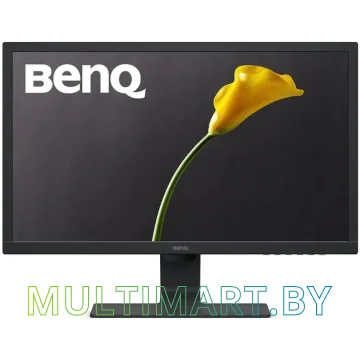 Монитор BenQ GL2480